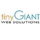Tiny Giant Web Solutions in Spring, TX Advertising