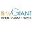Tiny Giant Web Solutions in Spring, TX