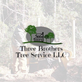Three Brothers Tree Service, in Dade City, FL Tree Services