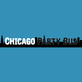 Chicago Party Bus in Near West Side - Chicago, IL Limousine Services