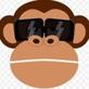 Credit Monkey in Beverly Hills, CA Credit & Debt Counseling Services