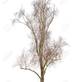 Eden Tree Service in Paradise Valley - Phoenix, AZ Tree Service Equipment