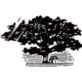 Carricks Service in Riverhead, NY Tree Services