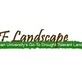 DF Landscape in Anaheim Hills - Anaheim, CA Gardening & Landscaping