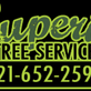 Superior Tree Service in Malabar, FL Tree Services