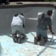 Best-1 Pool Builder & Repair in Hollywood Hills - Los Angeles, CA Swimming Pool Repair