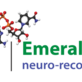 Emerald Neuro Recover | Drug Rehabs Carmel, Indiana in Carmel, IN Rehabilitation Centers