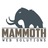 Mammoth Web Solutions in Prescott, AZ
