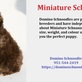 Miniature Schnauzers in Lower East Side - New York, NY Animal & Pet Food & Supplies Manufacturers