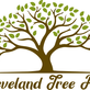 Stump & Tree Removal in Cleveland, TN 37312