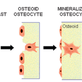 Osteocyte in Shirley, NY Alternative Medicine