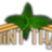 Mint Thai Cafe in Gilbert, AZ 85234 Thai Restaurants