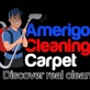 Carpet Cleaning Arlington in Radnor-Ft Myer Heights - Arlington, VA Carpet & Upholstery Cleaning