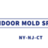 Indoor mold Specialist in Canarsie - Brooklyn, NY