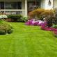 A+ Turf Grass Installer in Hollywood Hills - Los Angeles, CA Landscaping