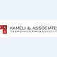 Law Offices of Kameli & Associates, P.C in Chicago, IL Attorneys, Immigration & Naturalization Law