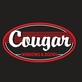 Cougar Windows & Doors in Mesa, AZ Fiberglass Windows