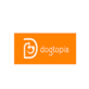 Dogtopia of Plano in Plano, TX Pet Sitting Services