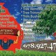 Artemio Tree Service in Atlanta, GA Tree Services