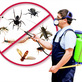 Ammit Pest Control in Jamaica, NY Pest Control Chemicals