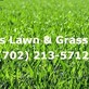 Las Vegas Lawn & Grass Company in Las Vegas, NV Landscaping