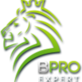 Bpro Expert in Huntridge - Las Vegas, NV Sports Information Services