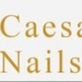 Caesars Nails Bar in Irving, TX Nail Salons