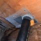 Sf Rodent Control in Downtown - San Francisco, CA Disinfecting & Pest Control Services
