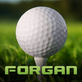 Forgan Golf in Green Valley North - Henderson, NV Outdoor Sporting Equipment