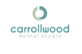 Carrollwood Dental Studio in Tampa, FL Dentists
