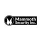 Mammoth Security Inc. Old Saybrook in Old Saybrook, CT Camera Supplies & Services