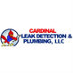 Cardinal Leak Detection & Plumbing in Bellaire - Houston, TX Plumbing Contractors