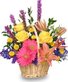 Designs Unlimited in Goodland, KS Florists