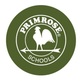 Primrose School of NE Green Oaks in North - Arlington, TX Preschools