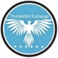 Thunderbird Exchange in Houston, TX Internet Advertising