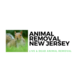 Animal Removal NJ - Dead Animal Carcass in Delran, NJ Animal Control