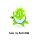 Keller Tree Service Pros in Keller, TX Landscaping