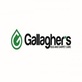 Gallagher's Rug and Carpet Care in Buckman - Portland, OR Carpet Cleaning & Repairing