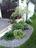 Arturo Landscaping LLC in Somers Point, NJ 08244 Landscaping