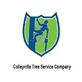 Colleyville Tree Service Company in Colleyville, TX Landscaping