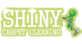 Shiny Carpet Cleaning in Springfield, VA Carpet & Rug Cleaners Commercial & Industrial