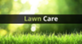 Queens of Clean & Kings of Lawn Care, in Durham, NC Lawn & Garden Consultants