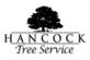 Hancock Tree Service in Knoxville, TN Tree Services