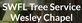 Tree Services in Wesley Chapel, FL 33544