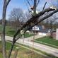 All About Trees in Wooster, OH Tree Services