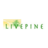 Live Pine in Northwest - Houston, TX 77092 Health, Diet, Herb & Vitamin Stores
