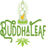 Buddha Leaf - Lincoln in Lincoln, NE 68506 Hemp Products