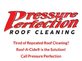 Pressure Perfection in Boca Raton, FL Cleaning Roof Siding Patio Sidewalks Etcetera