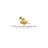 California Flooring Service in Business District - Irvine, CA