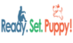 Ready, Set, Puppy! in Isanti, MN Dogs